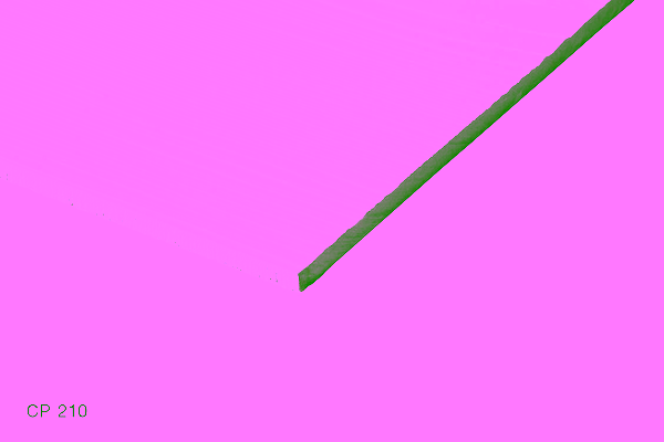 Swisspearl Plank Original Cedro CP 210